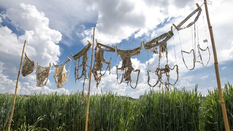 Buried underpants and a new definition of kissing win 2026 Ig Nobel prizes