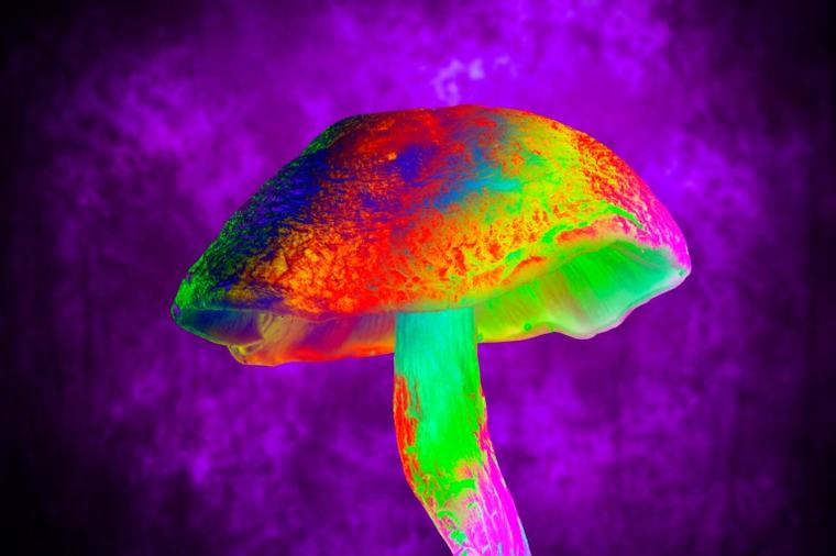Magic-mushroom compound blocks a severe side effect of chemotherapy in mice