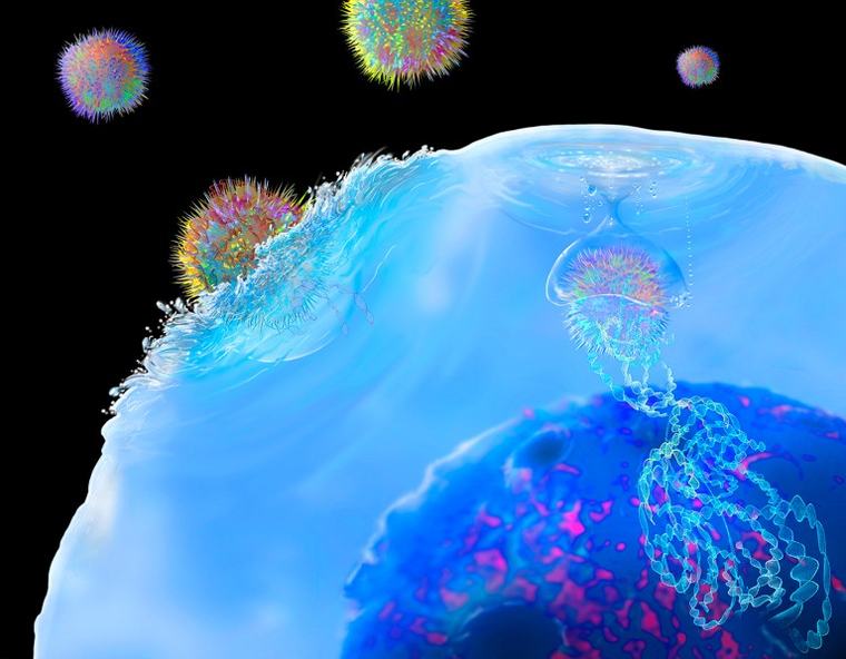 Immune therapy engineered inside the body eases multiple sclerosis