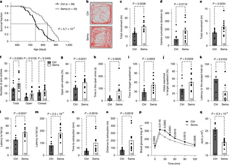 Late-life semaglutide treatment slows ageing and extends lifespan in female mice