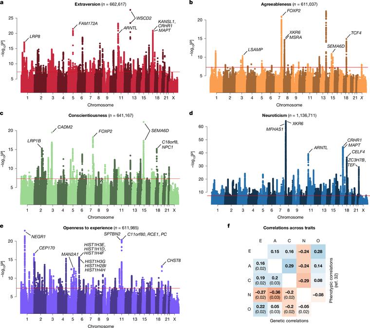 Robust inference and correlates from genetic associations with personality